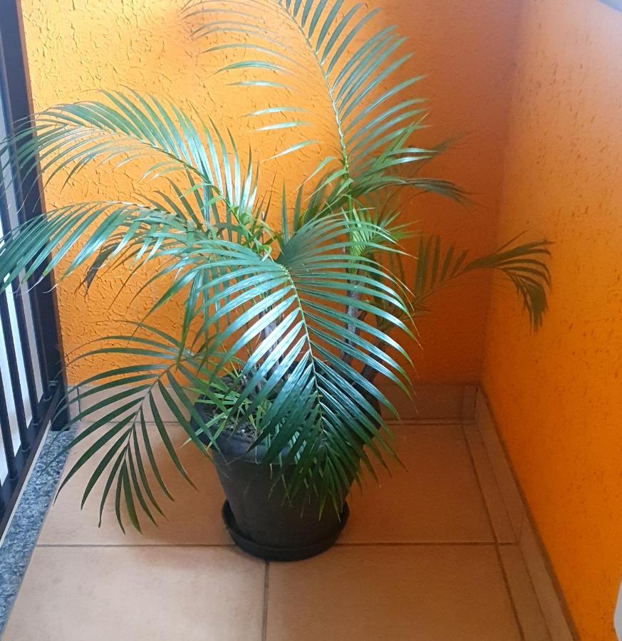 Vista Da Montanha Apartment *